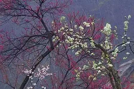 莫负流觞的现代寓意