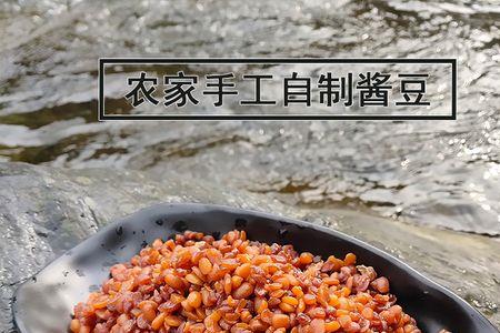 熬酱豆的做法