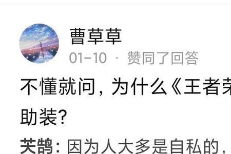 裸大辅助什么意思
