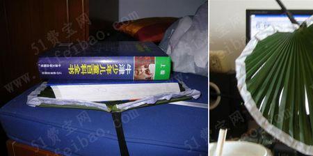 葵扇子晒干能保存多久