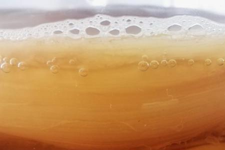 红茶菌最适宜温度