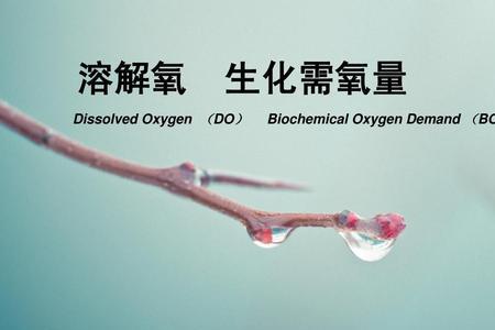 空气中溶解氧是多少