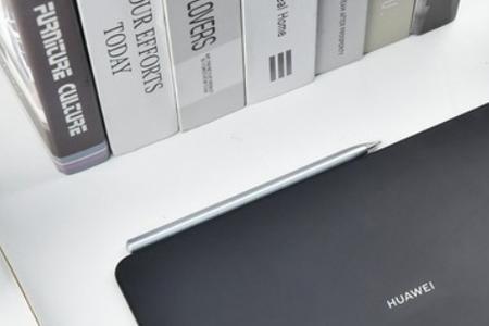 华为matebook15能玩动物派对吗