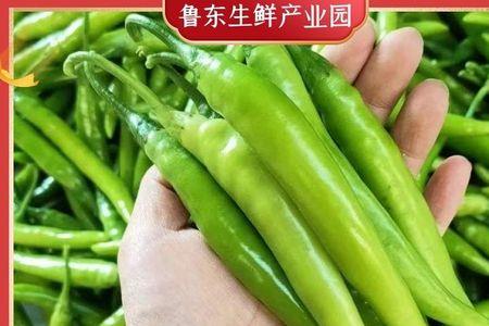 杭椒跟尖椒一样吗