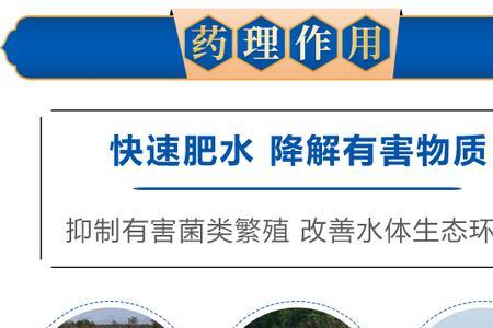 鱼屎怎么自然降解