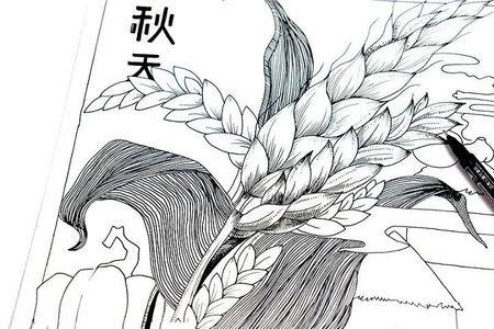 秋天丰收的种子简笔画
