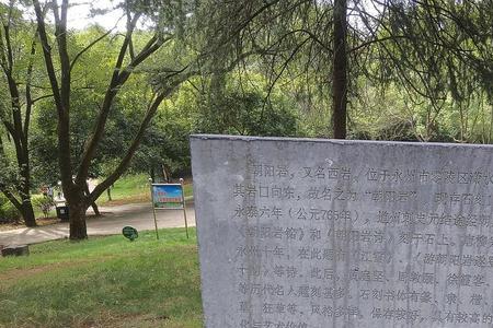 诣墓什么意思