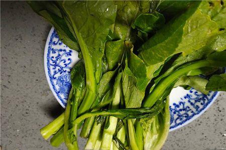 青油菜苔种植时间和方法