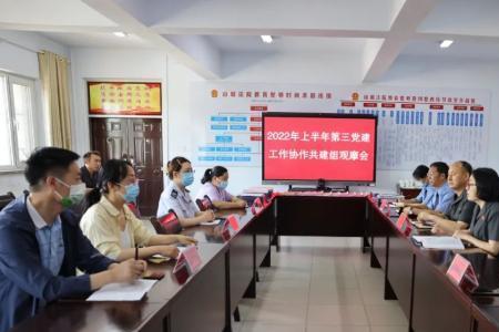 不是党组成员可以分管党建吗