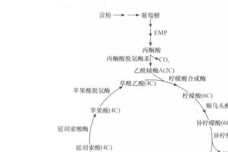 柠檬酸的计算公式