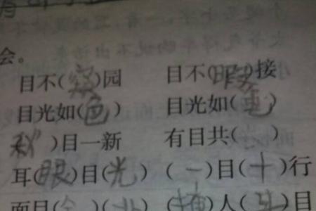 聘什么什么目成语
