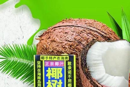 椰树集团四姐妹是谁