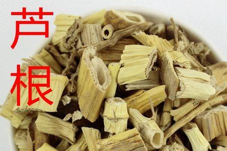 芦根的养殖方法和注意事项