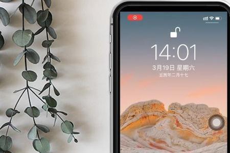苹果13null是啥意思