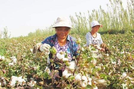 棉花可以存放多少年