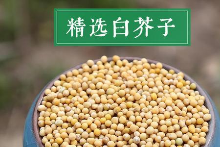 红介子什么品种