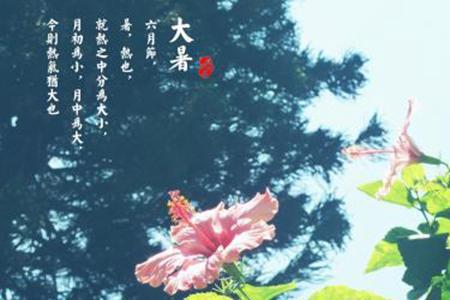 大暑避炎阳是什么意思