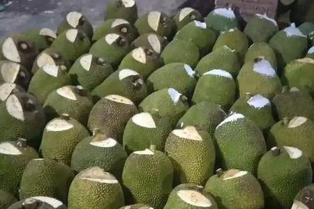 菠萝蜜里面黑点是什么