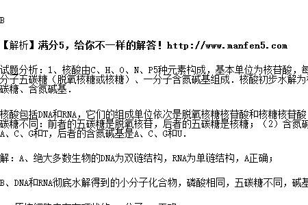 dna彻底水解的产物6种