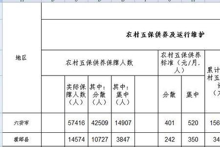 五保一人员是什么意思