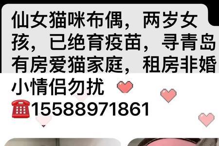 领养猫要自己去拿吗