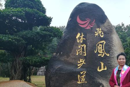 飞凤展翅是什么意思