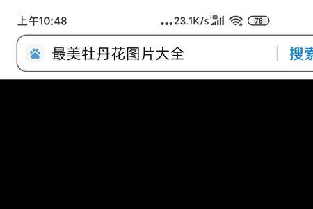 缠枝牡丹在东北几月份种植