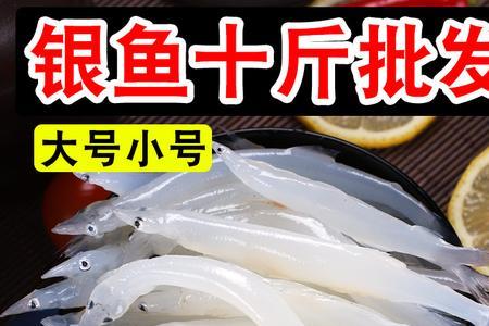 银鱼卖120元一斤正常吗