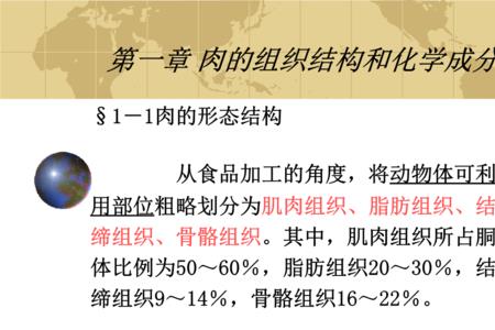 动物脂肪组织的主要组成成分