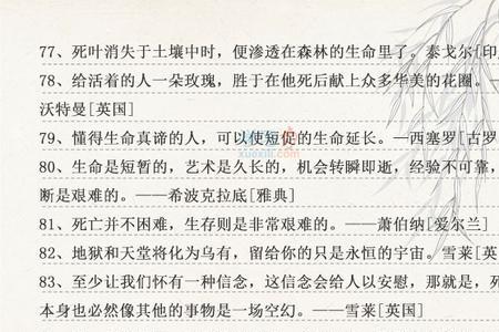一战关于战争的名言