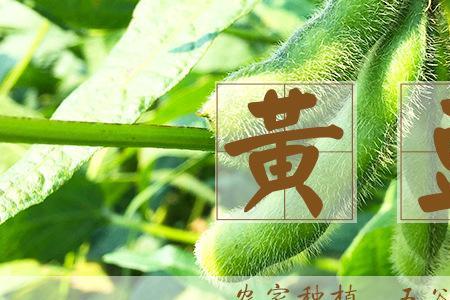 绿色的大豆是转基因的吗