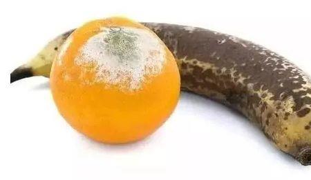 什么药能让水果快速烂掉