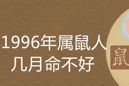 命不好但运气好是什么意思