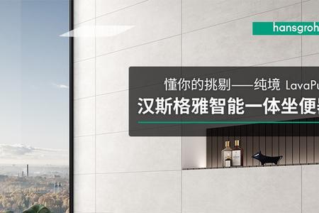 汉斯格雅是什么材质