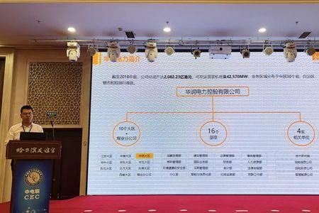 华润电力有几家分公司