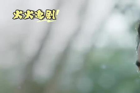 与君初相识一共几世