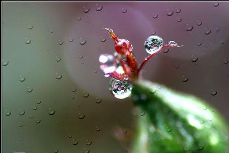 春雨无声什么意思