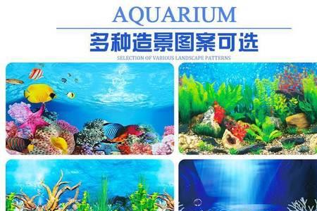 鱼缸背景贴一面还是贴三面