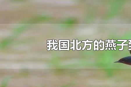 陕西燕子南飞时间表