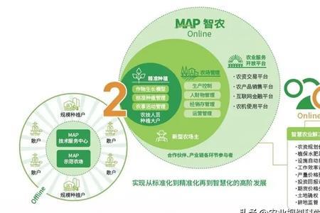 农村社会化服务是什么