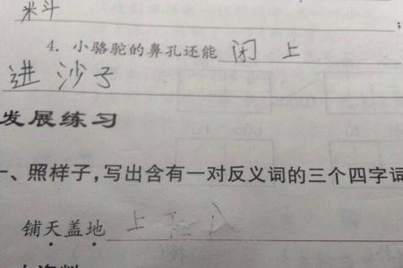 认真和仔细近义词是什么