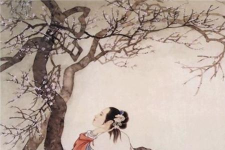 李清照的名讳