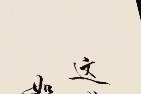 愿不枉愿勇往什么意思