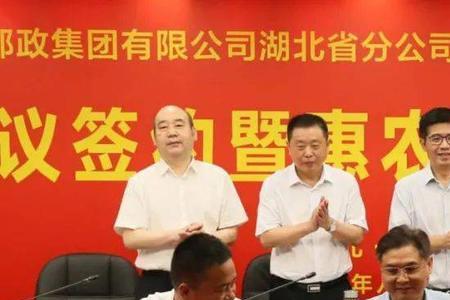 正邦集团湖北有几个分公司
