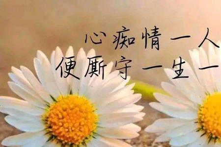 用一句古文形容爱多深恨就多深