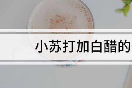 白醋小苏打杀虫的配方