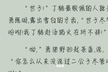将进酒丁桃的结局