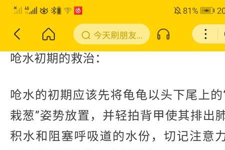 乌龟咳嗽啥原因