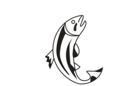 鱼肉简笔画简单又漂亮