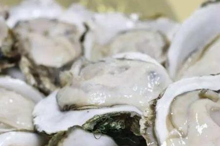海蛎子一晚上会死么